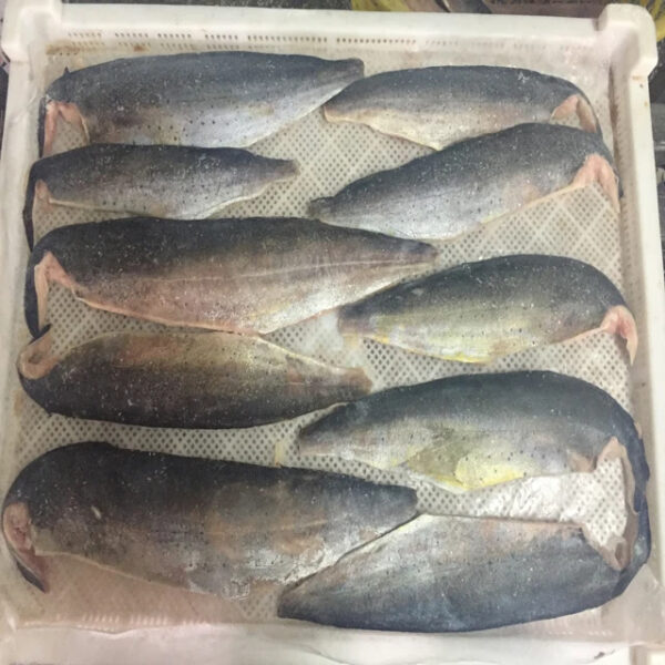 Best Seller High Quality Frozen Seafood Fish 300-500g Pacific Fresh Ship Frozen Mackerel Raw Material Block in Stock - Image 4