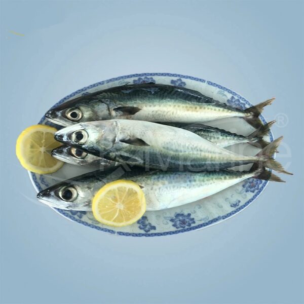 Frozen Seafood And Fish Frozen Mackerel - Image 4