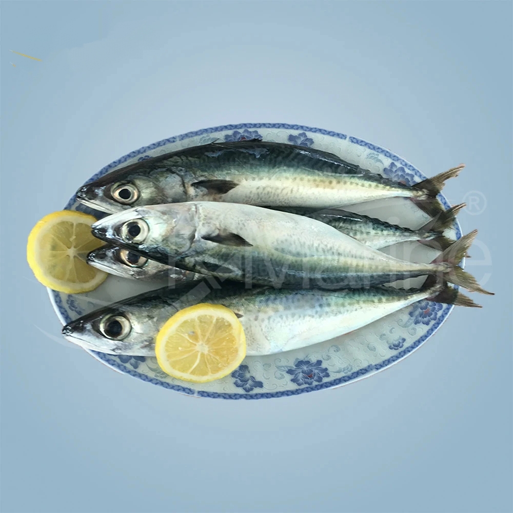 Frozen Seafood And Fish Frozen Mackerel - Image 4