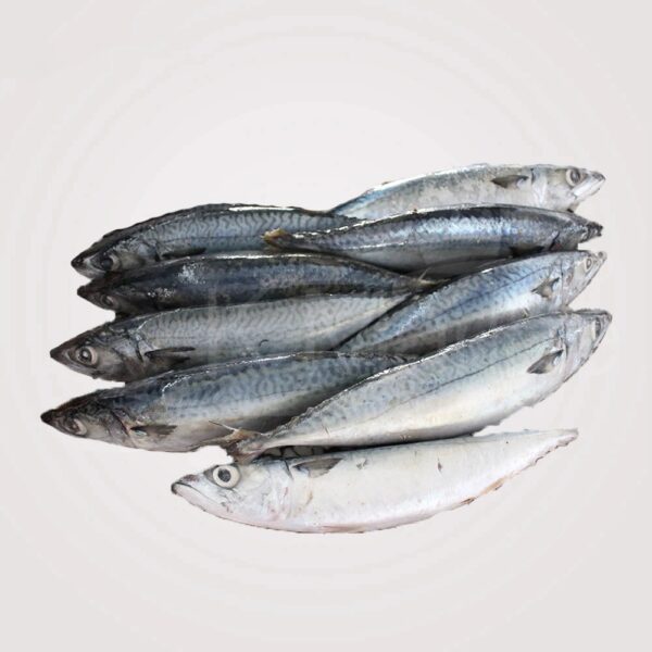 Fish and Seafoods Frozen Mackerel - Image 4