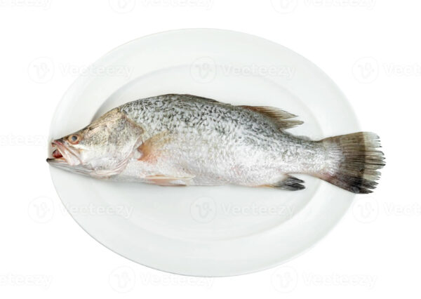 Cheap Frozen Mackerel Tuna Trout Bonito Tilapia Squid Salmon Fish - Image 4