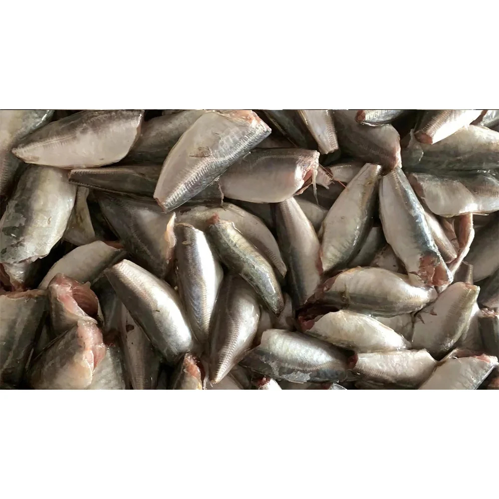 Frozen Round Scad Hgt Round Scad Mackerel Fish Mackerel Scad Fish - Image 4