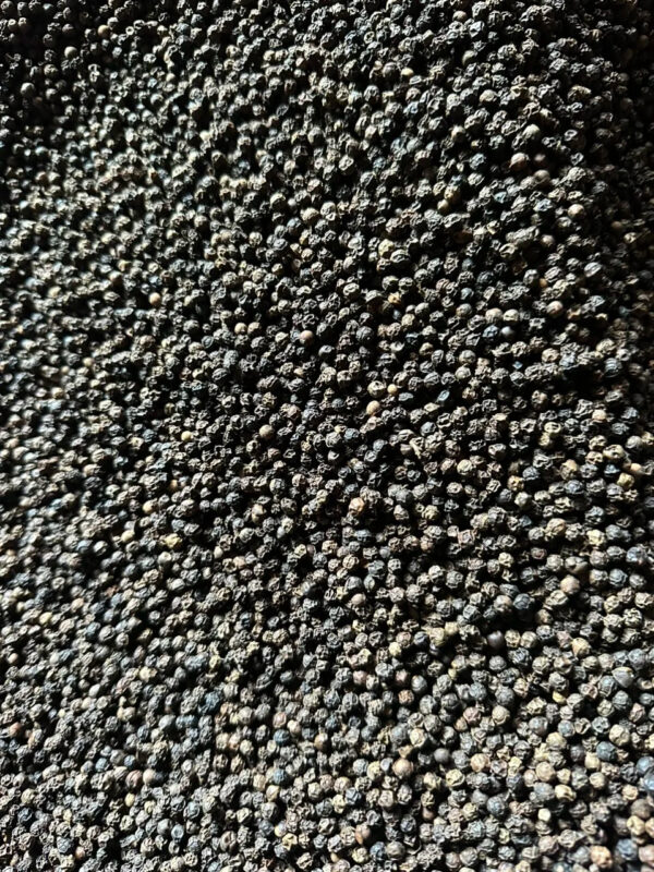 Hot Black Pepper 500 G/L /550 G/L for Exporting High Quality Good Rates for All Country in the World - Image 4