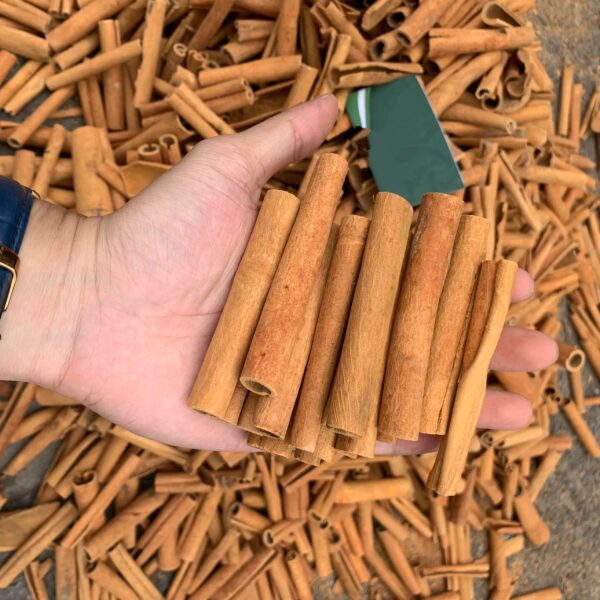 Wholesale Price Cinnamon Sticks Superior Quality New Harvest Rich in Flavour Bulk Packaging Free Sample - Image 5