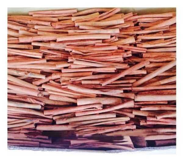 Best Price Herbs and Spices Ceylon Cinnamon Stick/ Stick Cassia for Export in Bulk - Image 4