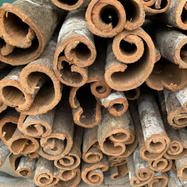 Cinnamon Exporters Best Cooking Spice Quality Reasonable Price ISO Certified OEM/ODM Cinnamon-Cassia Tube Vietnam - Image 4