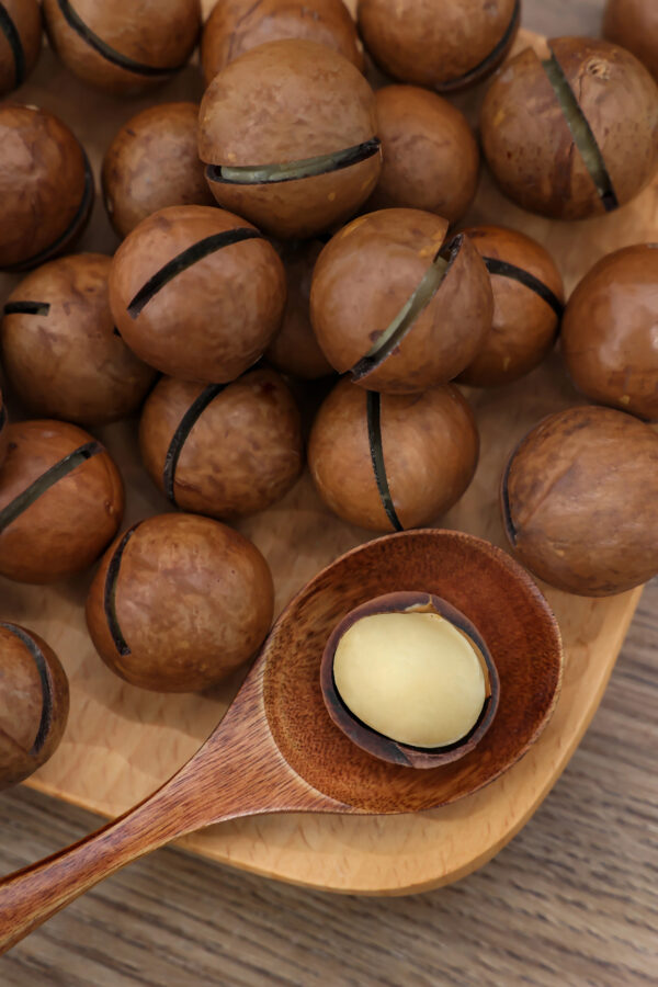 Good Supplier Dried Macadamia Nuts - Image 4