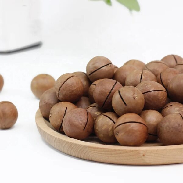 Wholesale High Quality Chinese Nuts Cream Flavor Roasted Dried Macadamia Nuts for Snack Food - Image 3