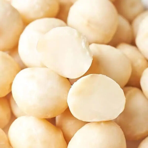 Macadamia Dried Nuts Macadamia Nut - Image 2