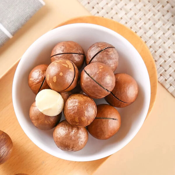 Hot Selling High Quality Cheap Price Roasted Macadamia Nuts From Kenya - Image 4