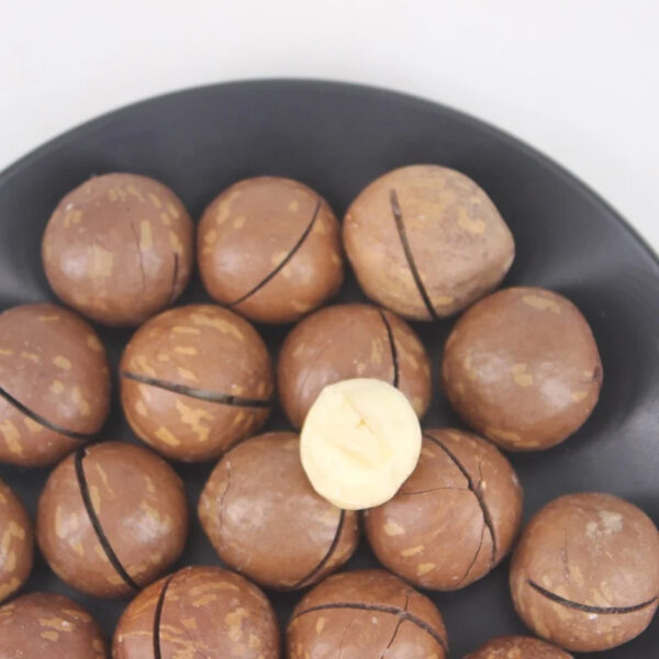 Hot Selling Good Quality Macadamia Nut for Sale - Image 4