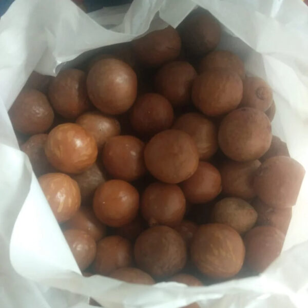 High-Quality Macadamia Nuts Fresh Crunchy and Nutrient-Rich for Healthy Living - Image 4
