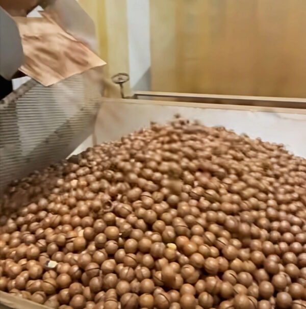 Hot Selling Big Size Macadamia Nuts From China Exporter Macadamia Nuts International Standard Delicious Taste - Image 3