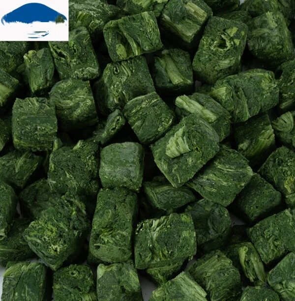 High Quality Organic Freeze-Dried Spinach Healthy Dried Vegetables Bulk FD Sweet Leaf Fruit Powder Wholesome Organic Leek - Image 4