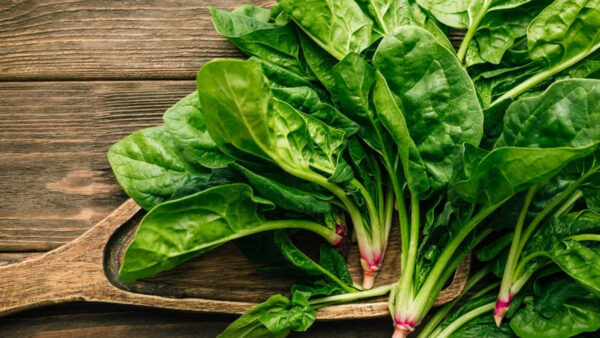 NATURAL SPINACH LEAVES FIBER BOOST CLEAN LABEL REAL WHOLE FOODS - Image 4