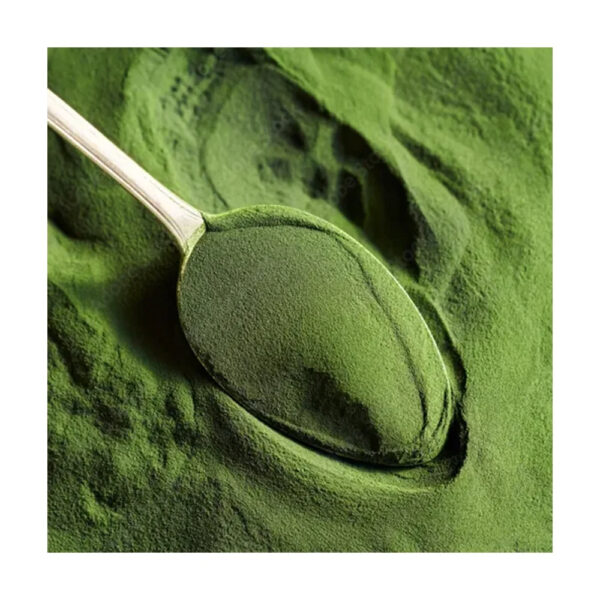 Super Quality Latest Brand New Product Natural Green Vegetable Spinach Powder Available at Affordable Price - Image 4