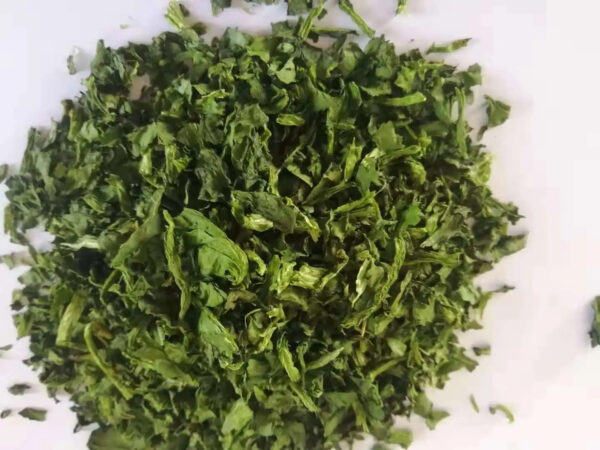 For Fast Food Dried Dehydrated Spinach Leaves Flakes Powder - Image 4