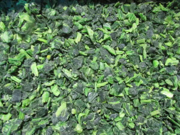 IQF Frozen Spinach Chopped Cuts 10x10mm BRC a Frozen Vegetables IQF - Image 4