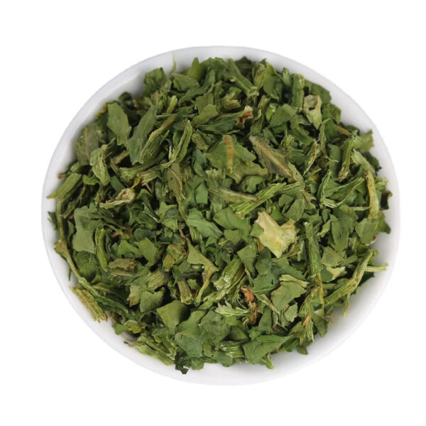 Hot Selling Pure Natural Spinach Dehydrated Spinach Slices in Bulk - Image 4