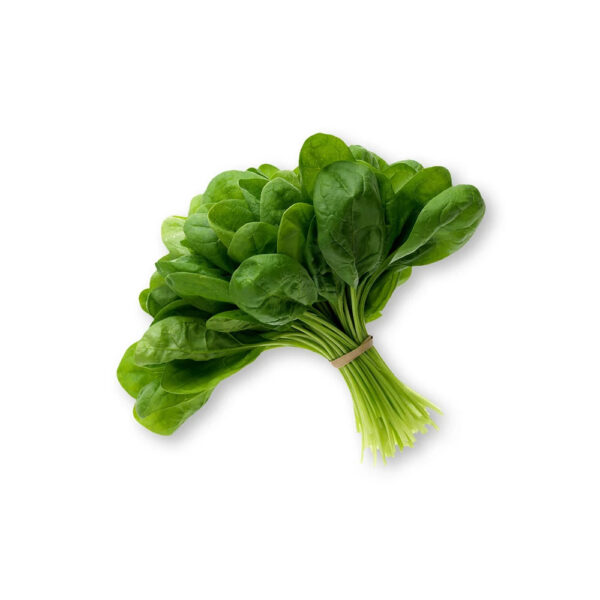 Fresh Malabar Spinach  Fresh Vegetable From SA Fast Delivery and Carefully Pure Natural Organic Spinach - Image 4