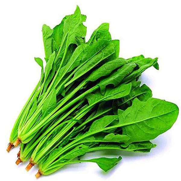 High Quality Spinach Vegetable Powder Organic air Dried Spinach Powder - Image 4