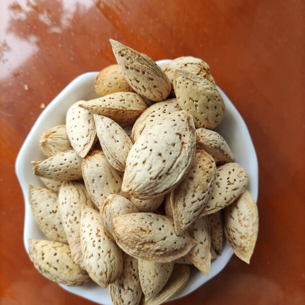 Whole Raw Almond with Shell Uncracked - Image 2