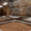 Premium Quality Sweet USA Almonds Nuts Available Raw Almonds Nuts Ready for Export - Image 4