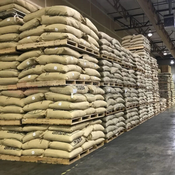 Wholesale Sweet Corn Seed from Kenya Yellow Corn Seeds for Export - Image 5