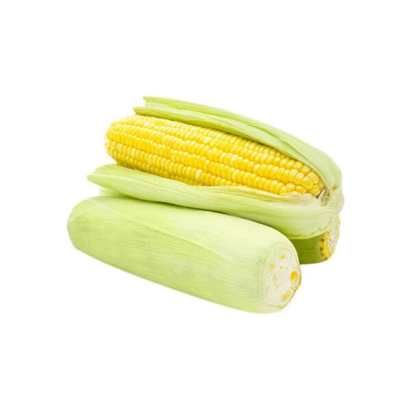 Dried Yellow Sweet Yellow Corn Yellow Maize Discount Sale Canned Sweet Corn Canned Yellow Sweet Corn - Image 4