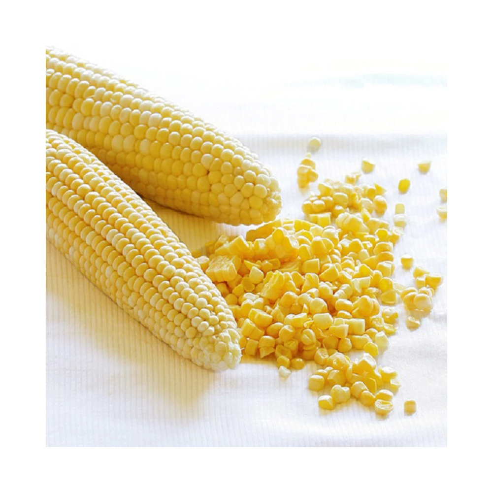 Non GMO Yellow Corn Sweet Corn Yellow Corn Maize for Sale in Bulk - Image 5