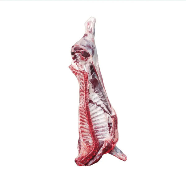 Fresh and Frozen Beef Topside Premium Quality Beef Meat - Image 5