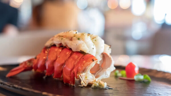 Premium Fresh and Frozen Seafood Lobster Tails Live Crawfish and Lobsters in Boxes for Sale - Image 5