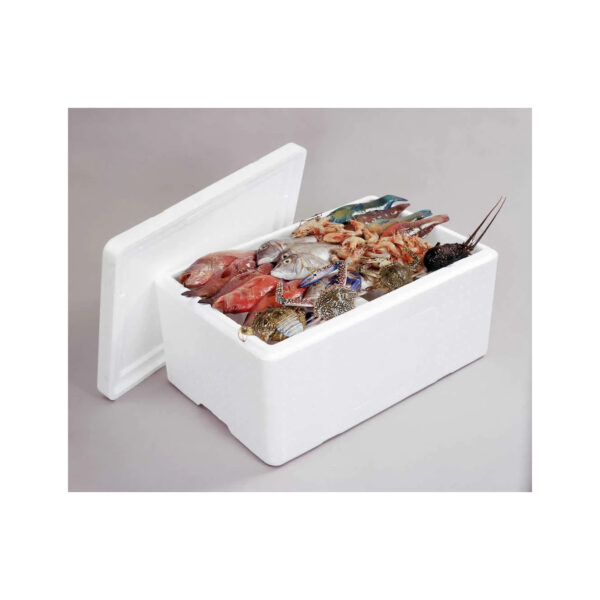 Premium Fresh Lobsters for Sale Perfect for Seafood Lovers and Restaurants Fresh Lobsters for Sale - Image 5