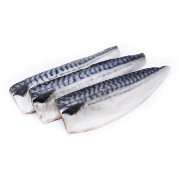 Atlantic Mackerel Fish Frozen Indian Mackerel Fish - Image 5