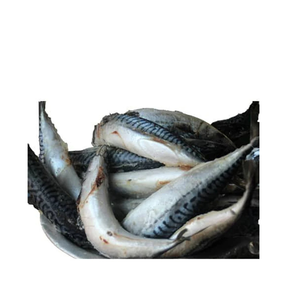 High Quality BQF Sea Frozen Fish Pacific Fish 50-60Pcs Chub Mackerel for Sale - Image 5