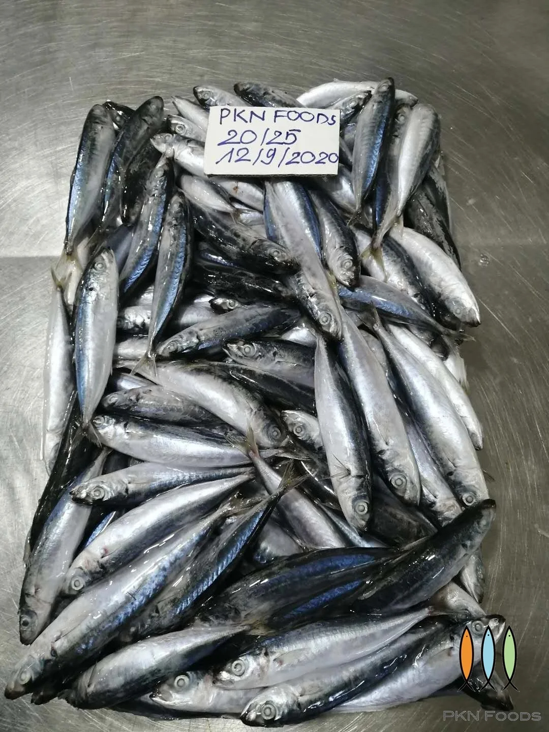 Frozen Mackerel Layang Scad Fish High Quality Cheap Price - Image 5