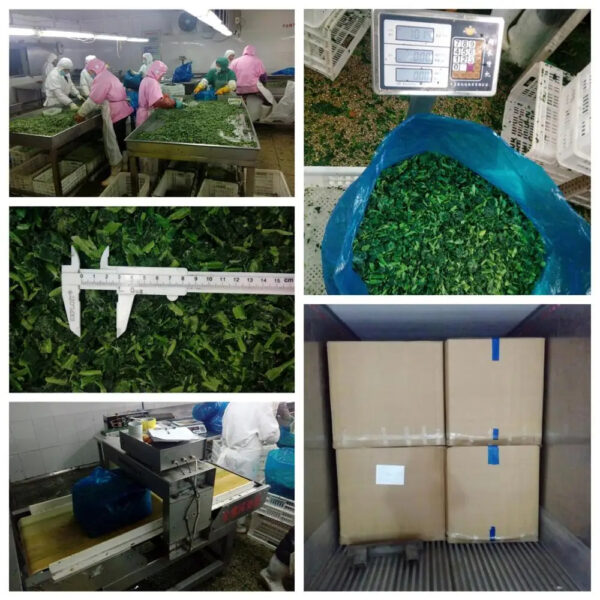 Best Price of Frozen Spinach Ball Hot Selling - Image 5