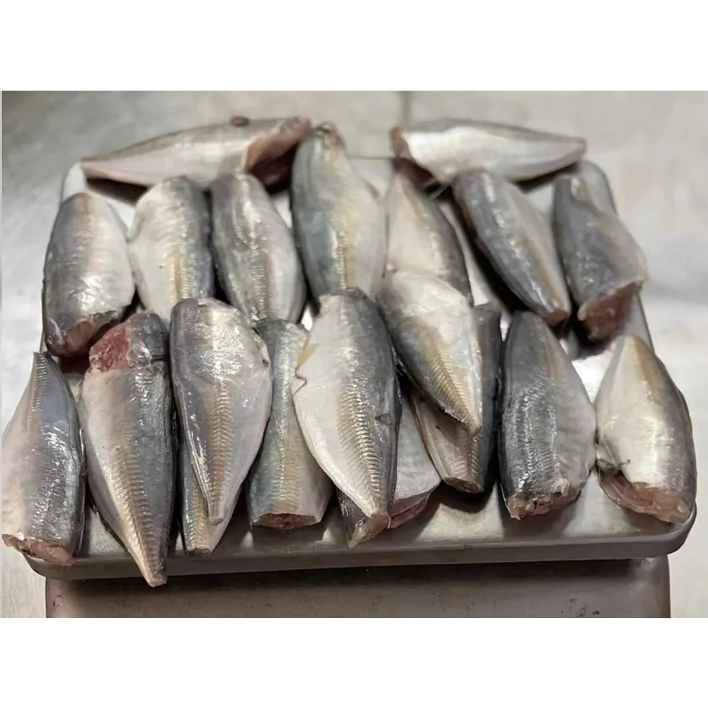 Frozen Round Scad Hgt Round Scad Mackerel Fish Mackerel Scad Fish - Image 5