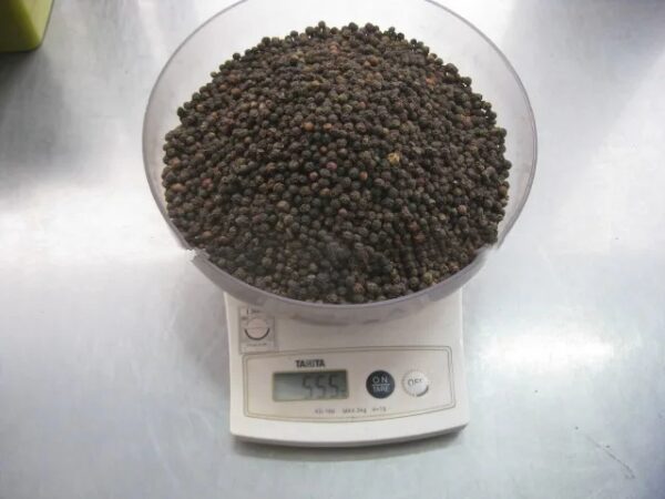 Vietnam Black Pepper Corn whole Grain Black Pepper poivre Noir 500g/l 550g/l 570g/l Price - Image 3