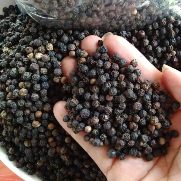 Black Pepper Exporters Vietnam - Image 2