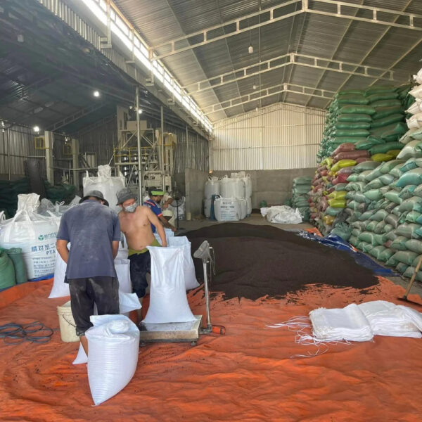 100% Natural Dried Black Pepper Single Spices Herbs Cultivated Common Cooking Industry-Export Variety Pattern Powder Form Seed - Image 5