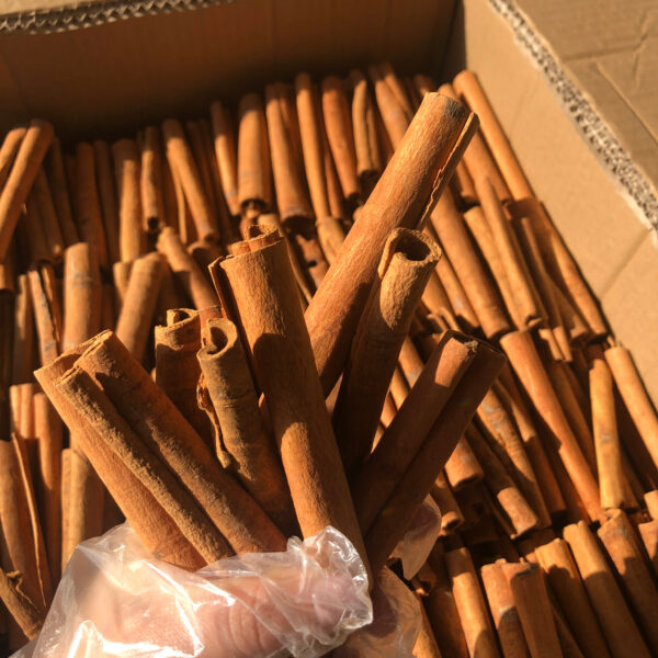Top Grade Hotpot Seasoning Natural Spice Cassia Cinnamon Stick in Bulk - Image 3