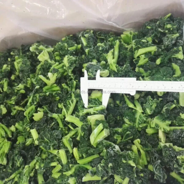 Hot Selling Bulk IQF Frozen Chopped Spinach Cubes Freezing Process BQF IQF Frozen Vegetables - Image 5