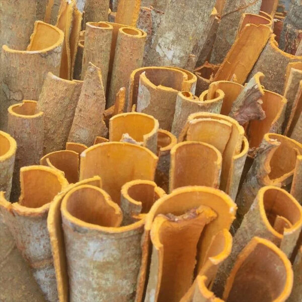 Vietnam Powder Pressed Stick CINNAMON CASSIA - Image 5
