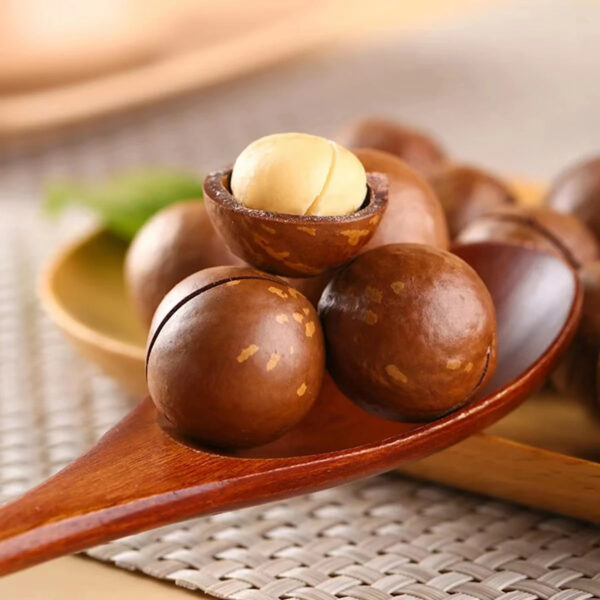 Hot Selling High Quality Cheap Price Roasted Macadamia Nuts From Kenya - Image 5