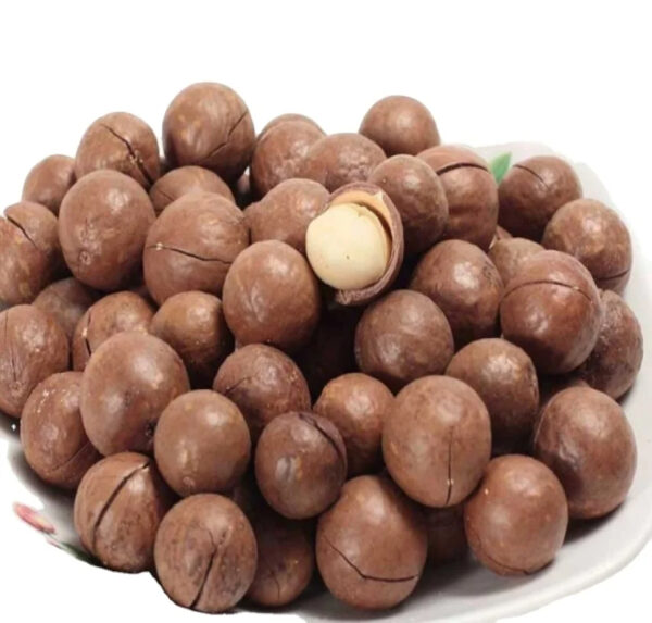 SUPER Best-selling Kenya Rich Nutrition Various Size Roasted Macadamia Nuts for Sale Raw Organic Macadamia Nuts Shell Nut - Image 4