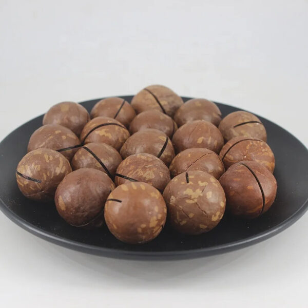 Hot Selling Good Quality Macadamia Nut for Sale - Image 5