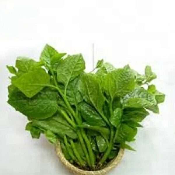 Malabar Spinach Vegetables (Global GAP) - Image 4