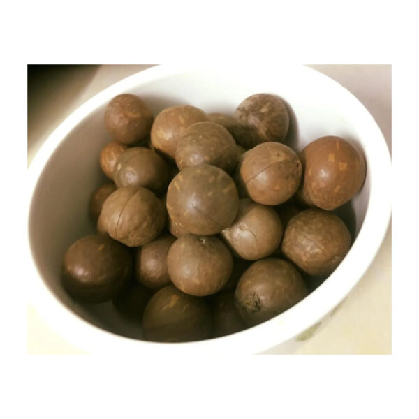 Direct Use Nuts & Kernels Roasted Raw Dried 100% Natural Nutritious Food Natural Taste Macadamia Nuts With High Quality - Image 5