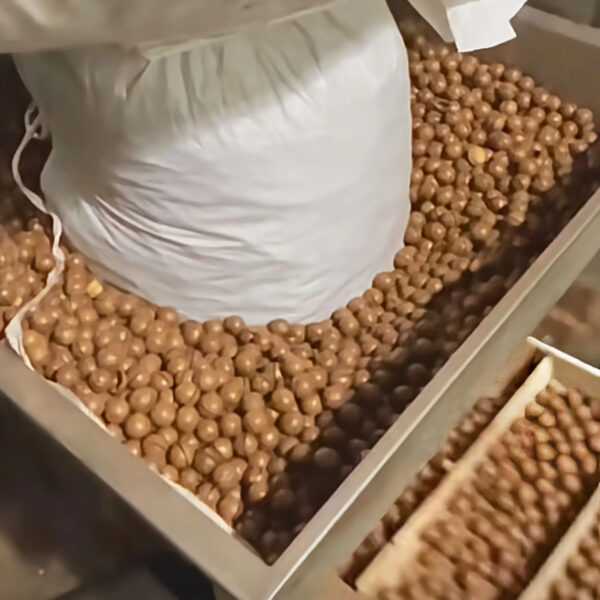 Hot Selling Big Size Macadamia Nuts From China Exporter Macadamia Nuts International Standard Delicious Taste - Image 4